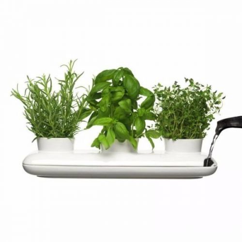 Trio Herb Pot/Planter